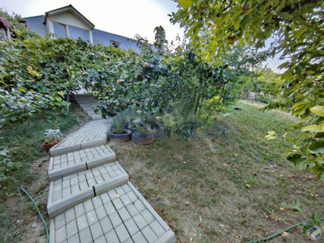 CASA VECHE 116 MP SI TEREN 698 MP IASI PIATA PACURARI