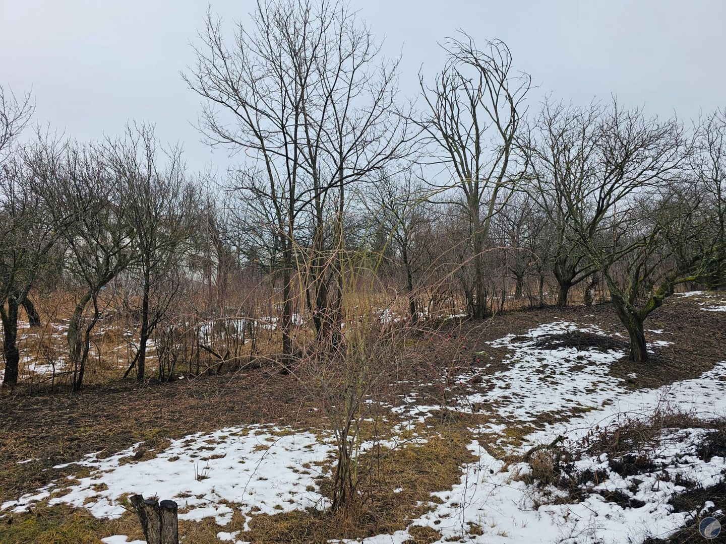 TEREN 700 MP IASI COPOU VITICULTORI CADRU NATURAL DEOSEBIT ACCES BUN