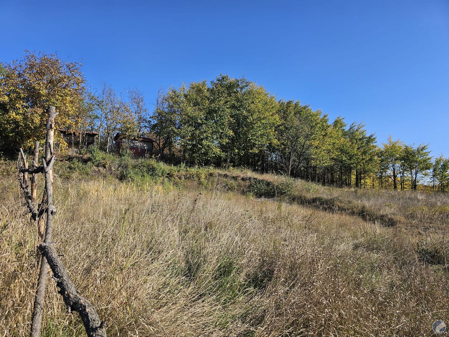 TEREN 1672 IASI COPOU VITICULTORI  LINISTE VERDE PRET NEGOCIABIL