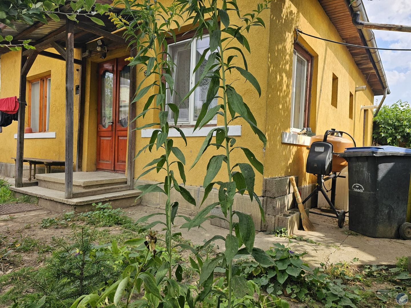 CASA VECHE RENOVABILA 80 MP SI TEREN 311 MP IASI CENTRU TG CUCU PODUL DE FIER